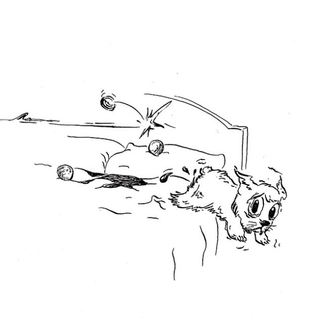 10930163_948807415152170_4527907271838194717_n