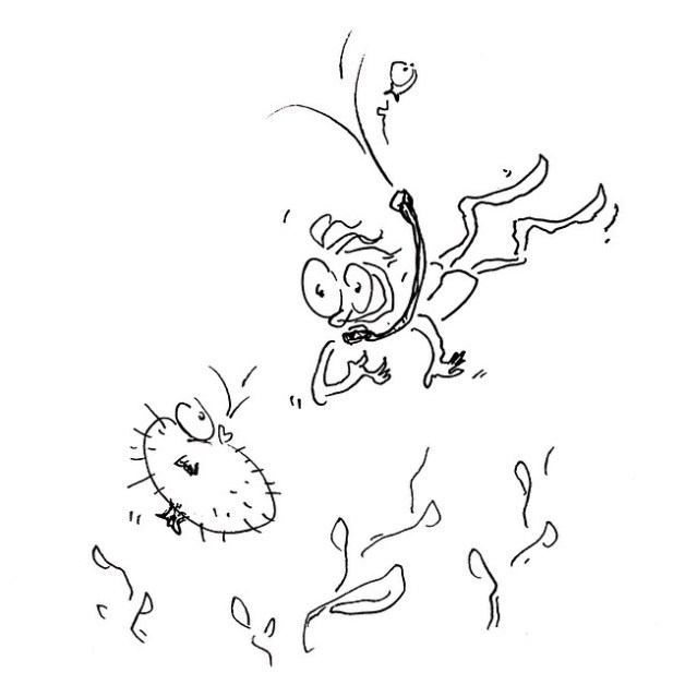 11009158_984039641628947_7075542840466834897_n